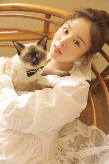 日本LAURENPHILIPS
